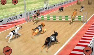 Đua Chó tại 789WIN